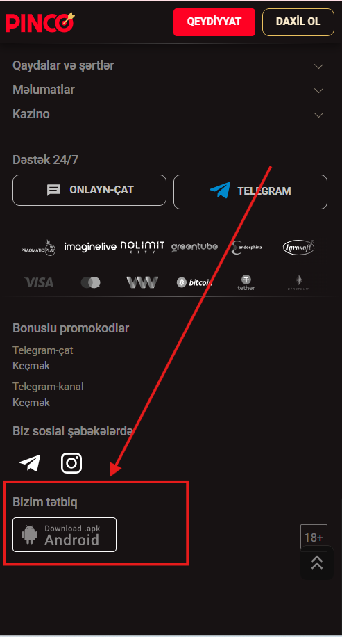 mainaz-3.png